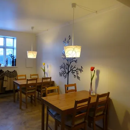 בית הארחה Central Guesthouse Reykjavik 2*